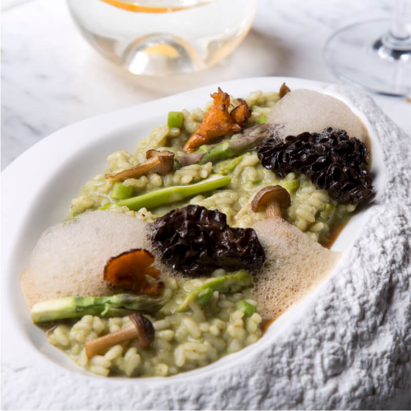 Porcini & Morel Risotto, Goat Milk Froth