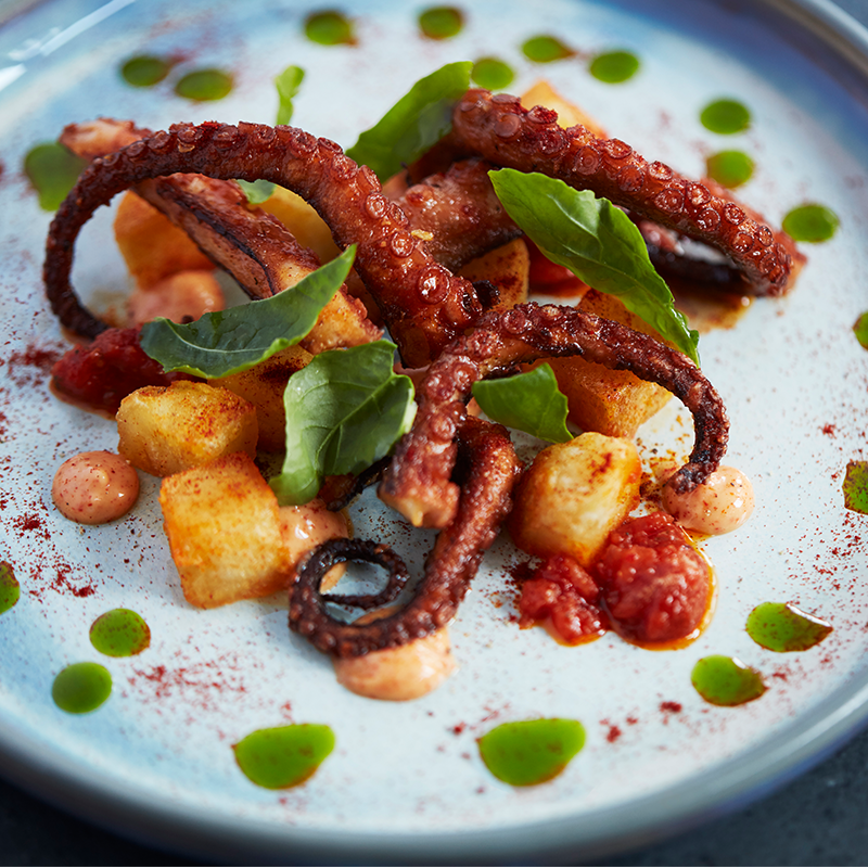 Charred Octopus 